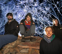 Animal Collective