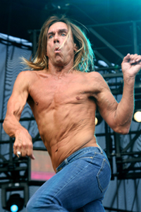 Iggy Pop