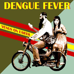 dengue-feverforweb.jpg