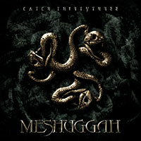 Meshuggah: Catch Thirtythree