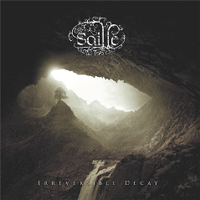 Saille: Irreversible Decay