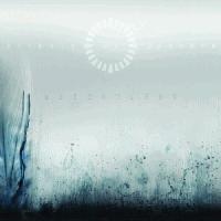 Animals as Leaders: Weightless