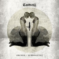 Castratii: Telling of the Bees