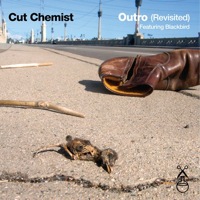 Cut Chemist: Outro (Revisited)