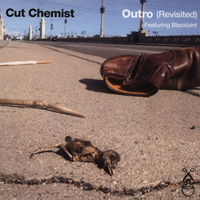 Cut Chemist: Outro Revisited