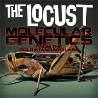 The Locust: Molecular Genetics from the Gold Standard Labs