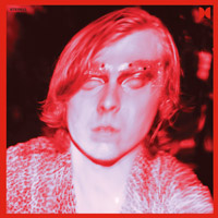 Ty Segall: The Hill