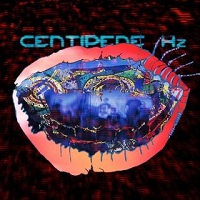 Animal Collective: Centipede Hz