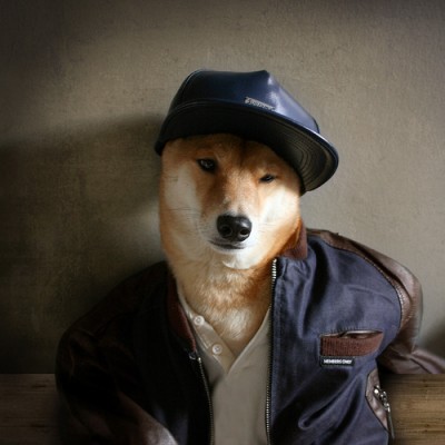 Menswear Dog