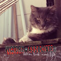 Victory and Associates: Better Luck Next Life